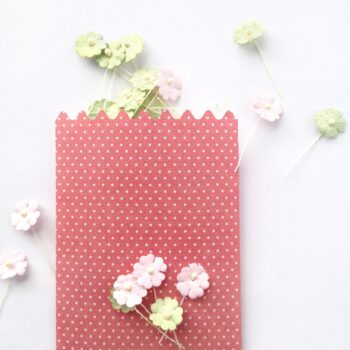 Silhouette Promotion - July