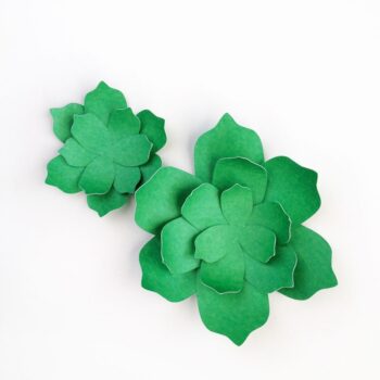 Paper Succulents - Maritza Lisa