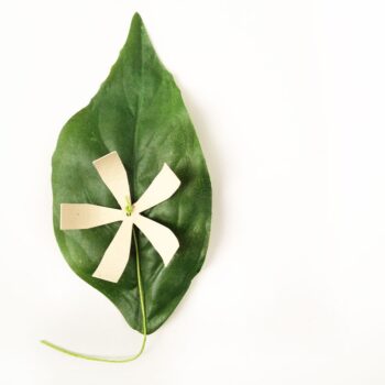 DIY Paper Flowers with Fonts #MaritzaLisa