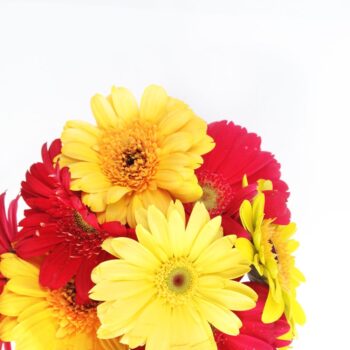 Link Love - Inspiration from around the web