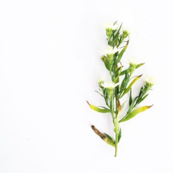 Link Love #13 - DIY inspiration from around the web - Maritza Lisa