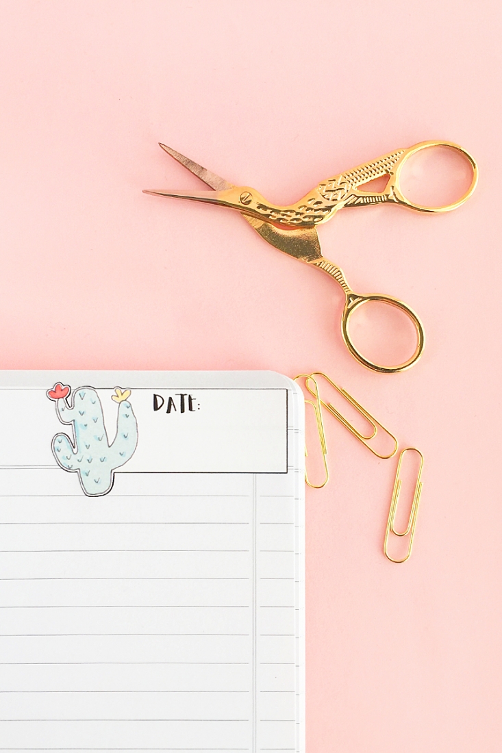 DIY Cactus Planner Stickers - Create and decorate your journals with these sweet cactus date planner stickers. Click through for tutorial on Maritza Lisa!