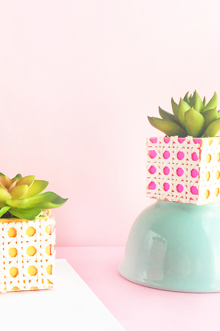 DIY Faux Succulent Rattan Planters - Maritza Lisa - A quick and easy way to update your (faux succulent) planters with paper and rattan. Click through for the tutorial!