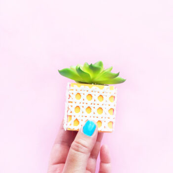 DIY Faux Succulent Rattan Planters - Maritza Lisa - A quick and easy way to update your (faux succulent) planters with paper and rattan. Click through for the tutorial!