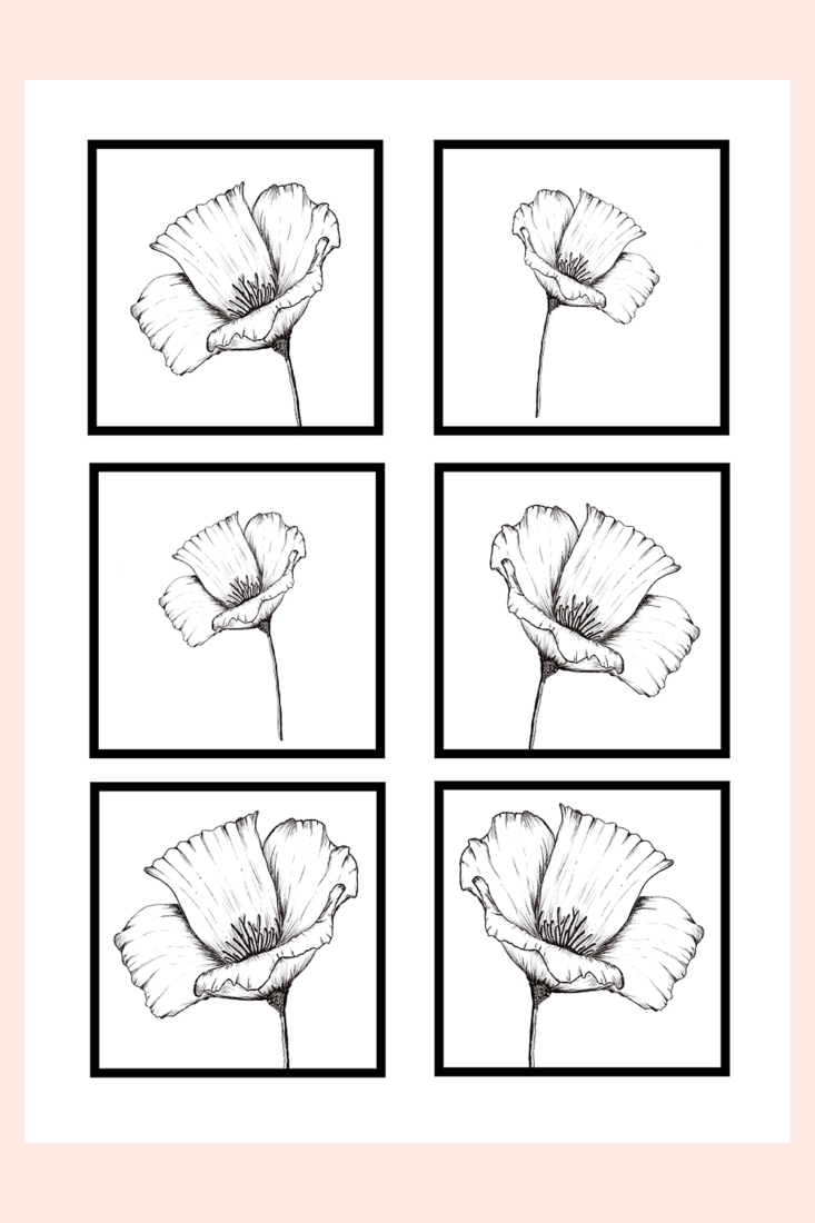 Free Coloring Page California Poppy Pdf Printable